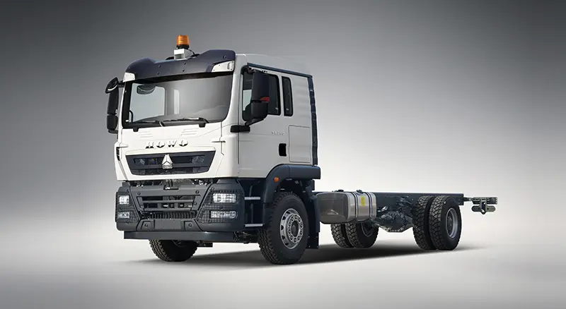Howo TX 290 4x2 Cargo Truck